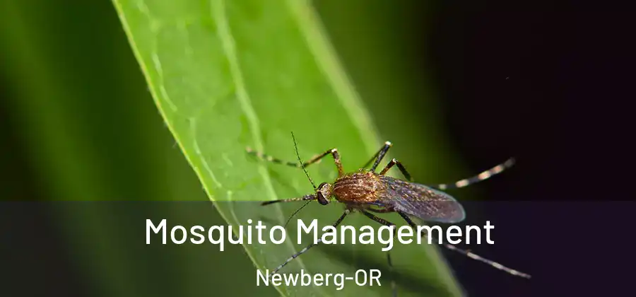 Mosquito Management Newberg-OR