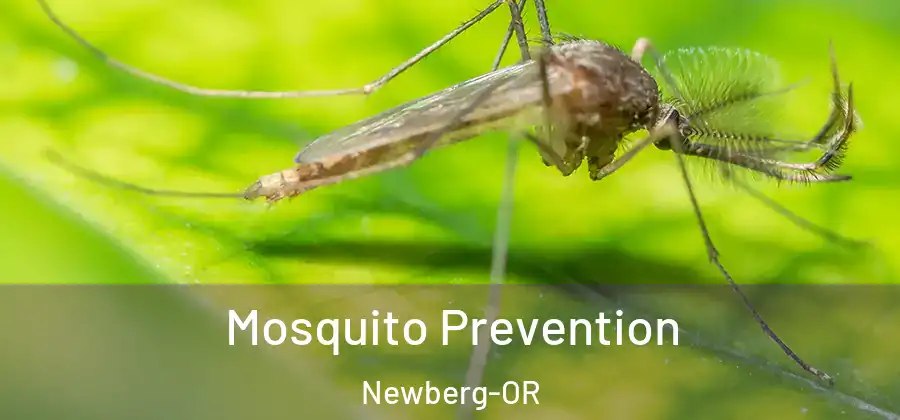 Mosquito Prevention Newberg-OR