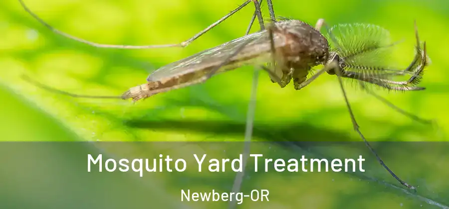 Mosquito Yard Treatment Newberg-OR