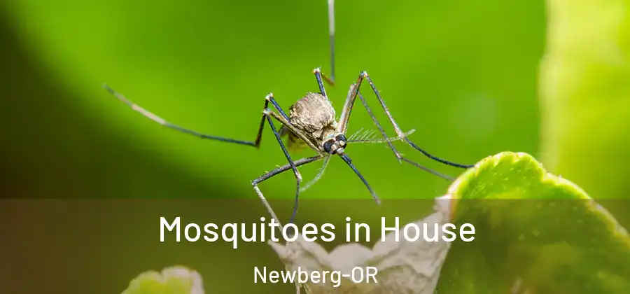 Mosquitoes in House Newberg-OR