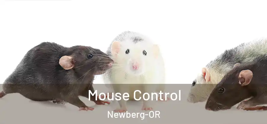  Mouse Control Newberg-OR