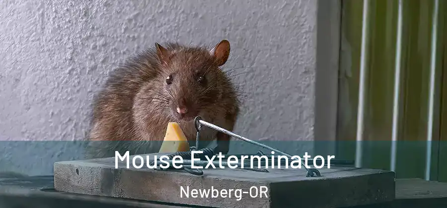 Mouse Exterminator Newberg-OR