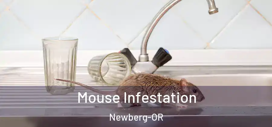  Mouse Infestation Newberg-OR