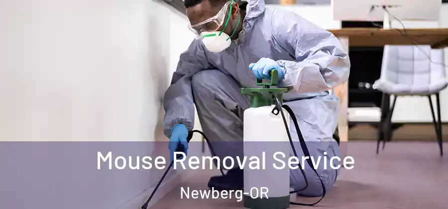 Mouse Removal Service Newberg-OR