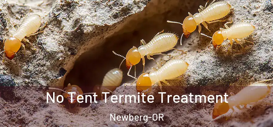 No Tent Termite Treatment Newberg-OR