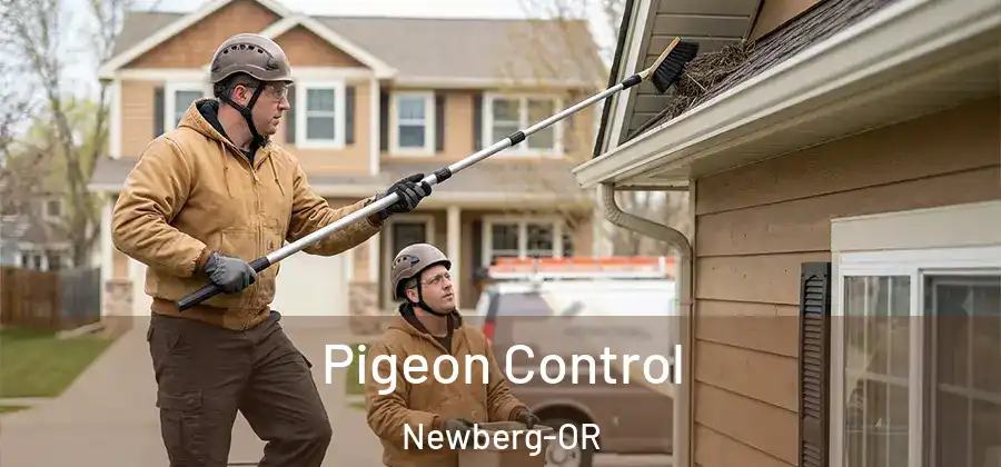 Pigeon Control Newberg-OR