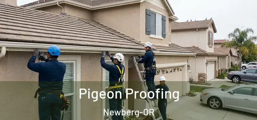 Pigeon Proofing Newberg-OR