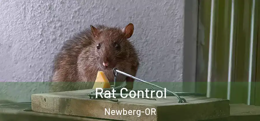  Rat Control Newberg-OR