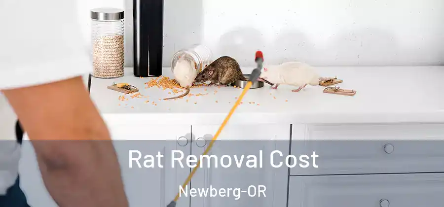 Rat Removal Cost Newberg-OR