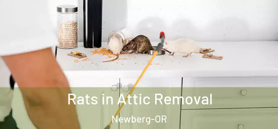 Rats in Attic Removal Newberg-OR
