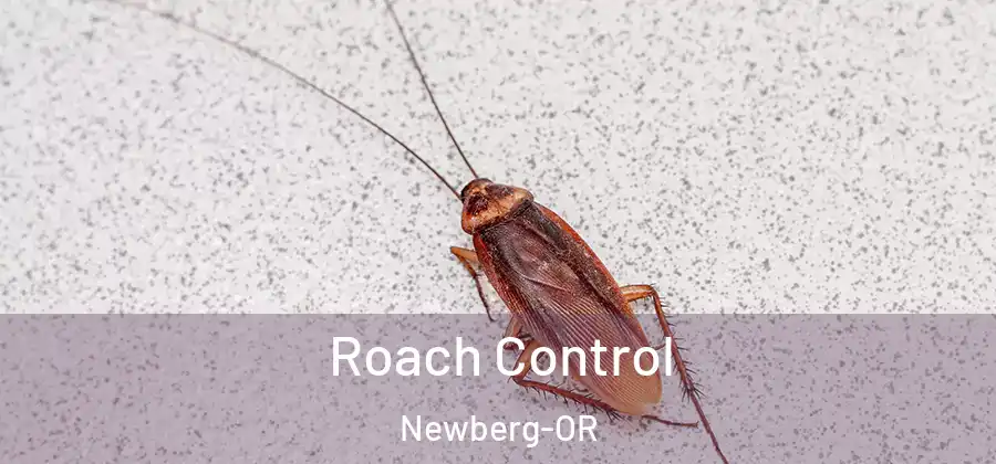 Roach Control Newberg-OR
