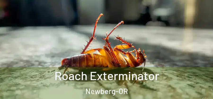  Roach Exterminator Newberg-OR
