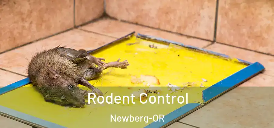  Rodent Control Newberg-OR
