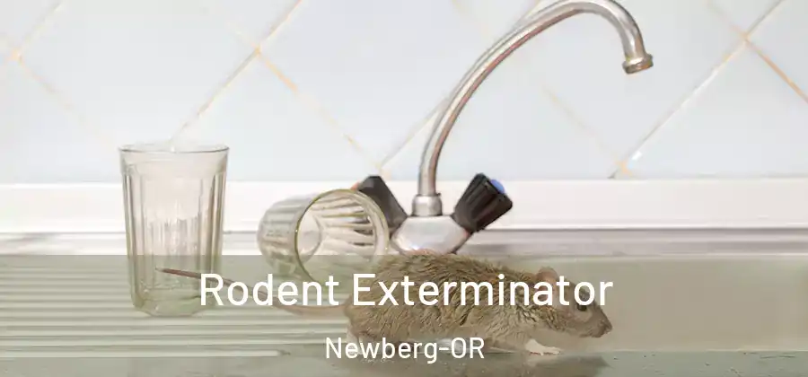 Rodent Exterminator Newberg-OR