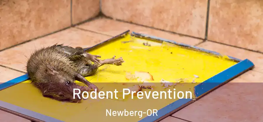 Rodent Prevention Newberg-OR
