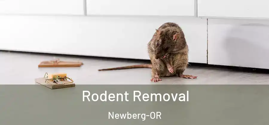 Rodent Removal Newberg-OR