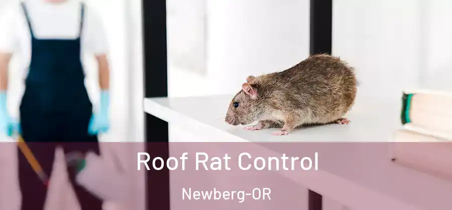 Roof Rat Control Newberg-OR