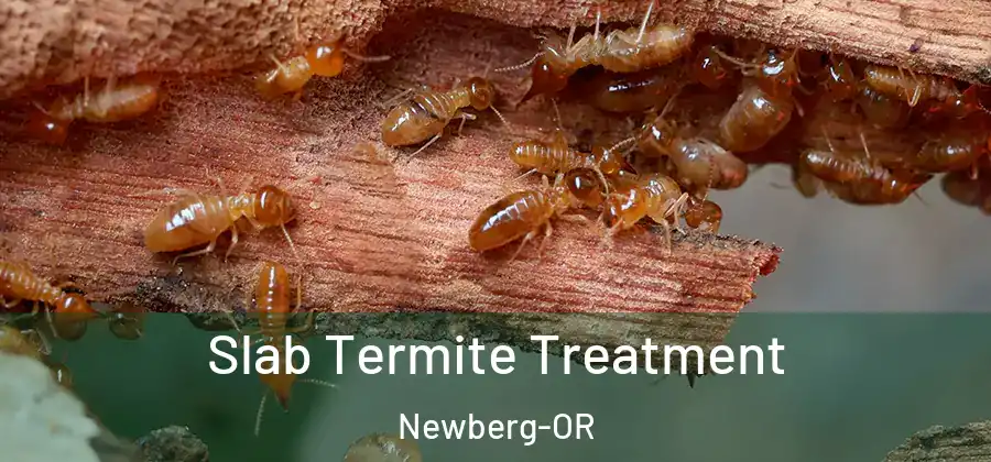 Slab Termite Treatment Newberg-OR