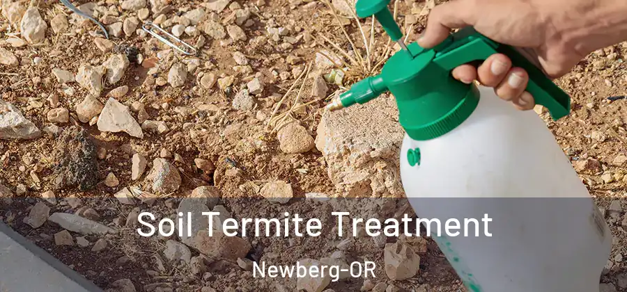 Soil Termite Treatment Newberg-OR
