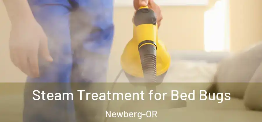 Steam Treatment for Bed Bugs Newberg-OR