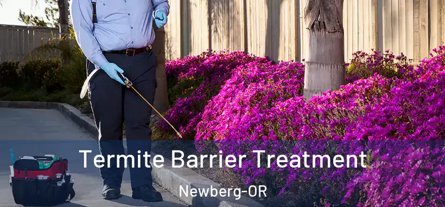 Termite Barrier Treatment Newberg-OR
