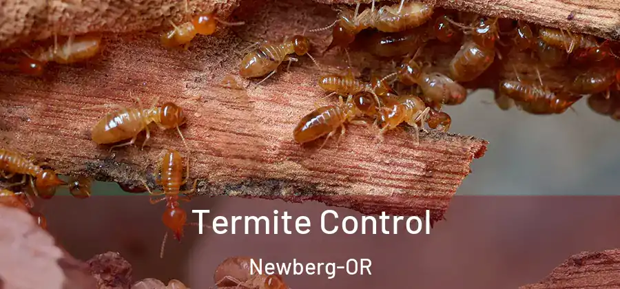  Termite Control Newberg-OR