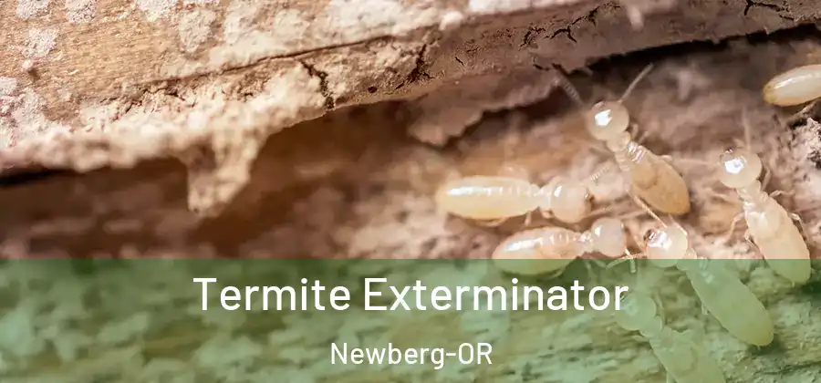 Termite Exterminator Newberg-OR