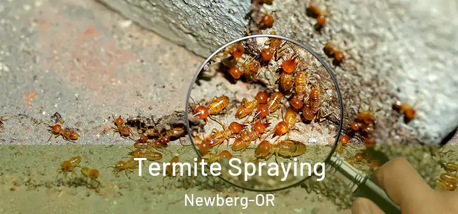 Termite Spraying Newberg-OR