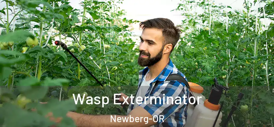 Wasp Exterminator Newberg-OR