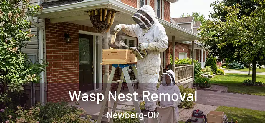 Wasp Nest Removal Newberg-OR