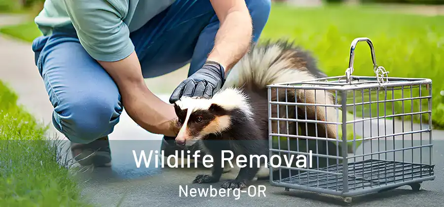 Wildlife Removal Newberg-OR