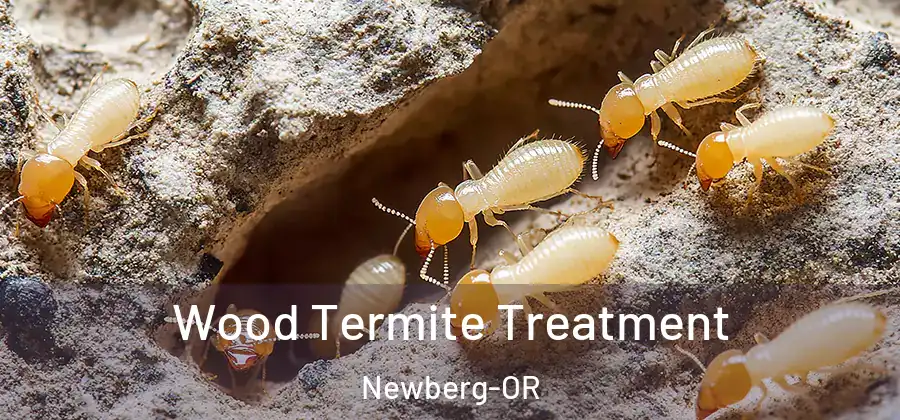Wood Termite Treatment Newberg-OR