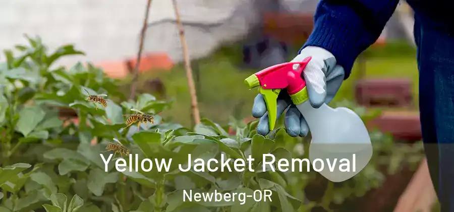 Yellow Jacket Removal Newberg-OR